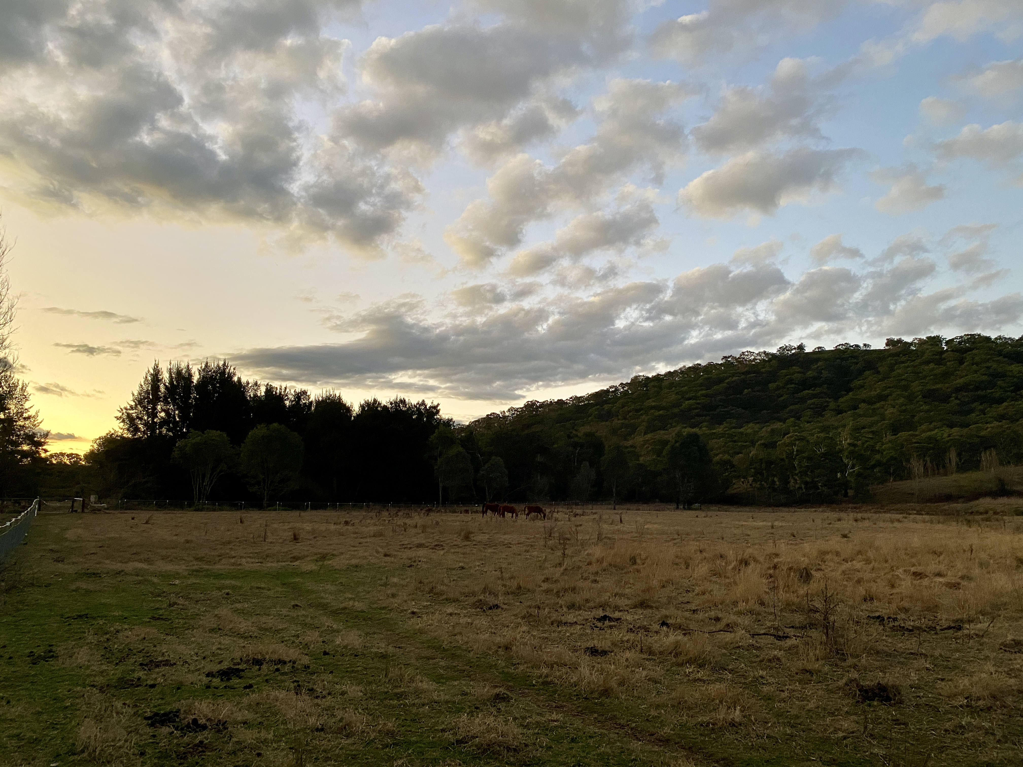 Winganna Farm Property