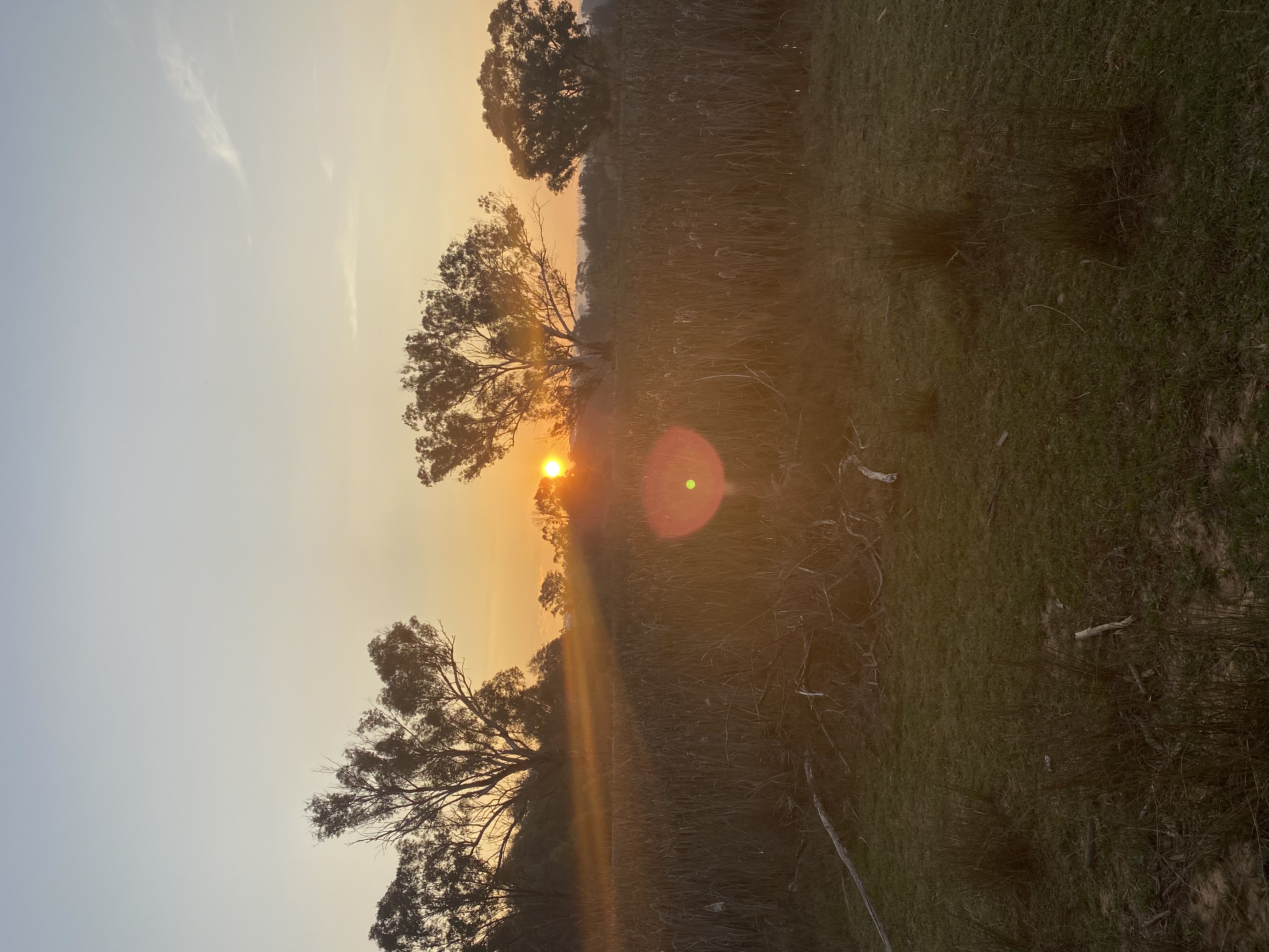 Winganna Farm